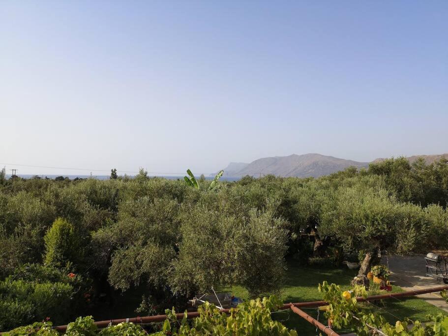 Sunshine Studio Villa Kissamos Exterior photo